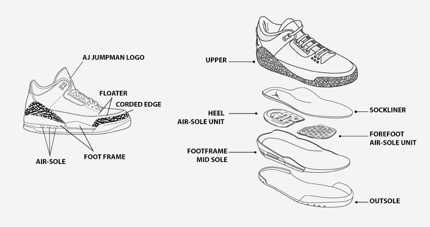 Air Jordan 3 Anatomy