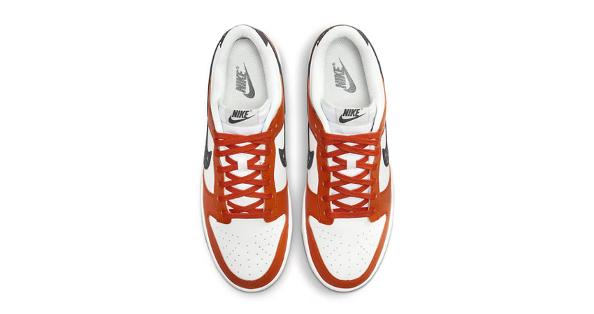 The Nike Dunk Low Starry Swoosh Makes A Statement up