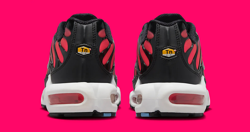 Fresh Firecracker PinkBlue For Nike Air Max Plus back